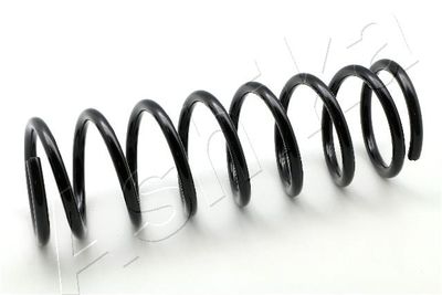 Suspension Spring ASHIKA ZCA5048A