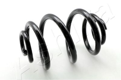 Suspension Spring ASHIKA ZCA5049J
