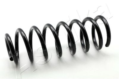Suspension Spring ASHIKA ZCA5240C