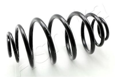 Suspension Spring ASHIKA ZCA5420J