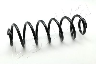 Suspension Spring ASHIKA ZCA5543H