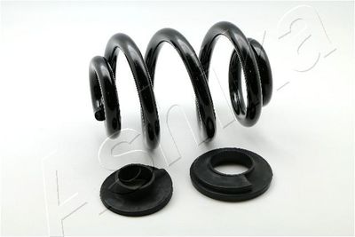 Suspension Spring ASHIKA ZCA5558X