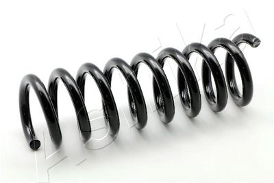 Suspension Spring ASHIKA ZCA5675A