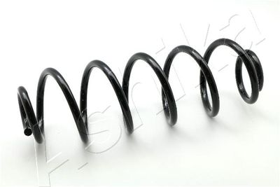 Suspension Spring ASHIKA ZCA5770H