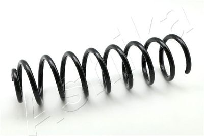 Suspension Spring ASHIKA ZCA5883C
