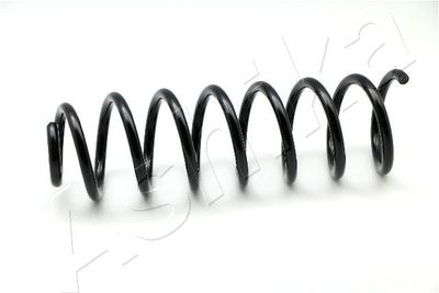 Suspension Spring ASHIKA ZCA5886C