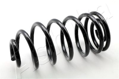 Suspension Spring ASHIKA ZCA5992A