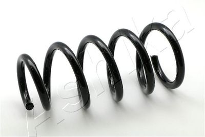Suspension Spring ASHIKA ZCA6027A