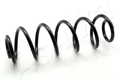 Suspension Spring ASHIKA ZCA6104A