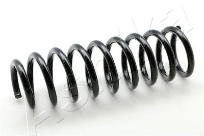 Suspension Spring ASHIKA ZCA6121A
