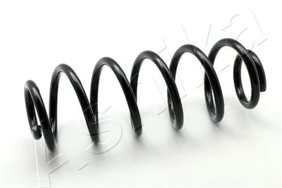 Suspension Spring ASHIKA ZCA6145A