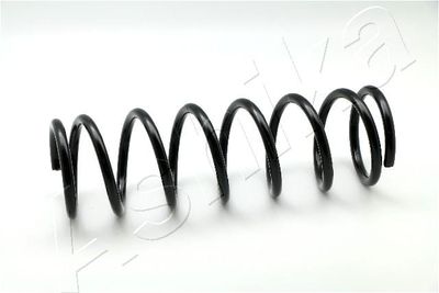 Suspension Spring ASHIKA ZCA6205A