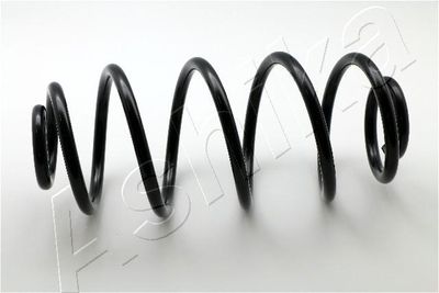 Suspension Spring ASHIKA ZCA6239X