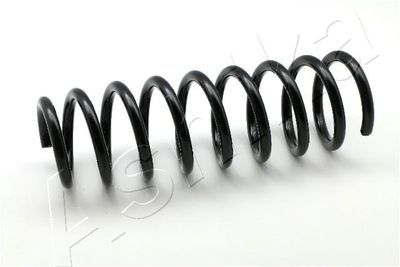 Suspension Spring ASHIKA ZCA6368C