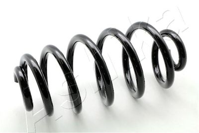 Suspension Spring ASHIKA ZCA6575H
