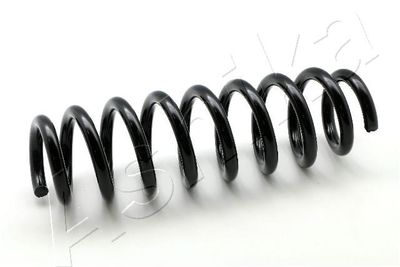 Suspension Spring ASHIKA ZCA6602H