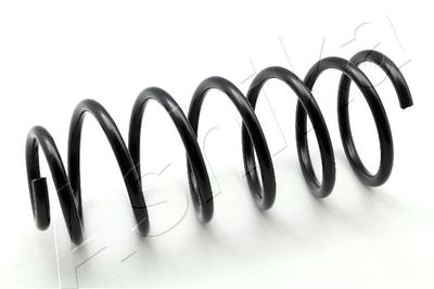 Suspension Spring ASHIKA ZCA6673A
