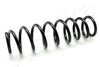 Suspension Spring ASHIKA ZCA6748H