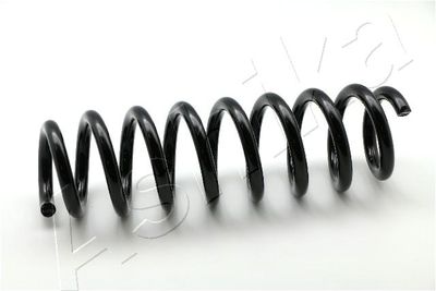 Suspension Spring ASHIKA ZCA6752H