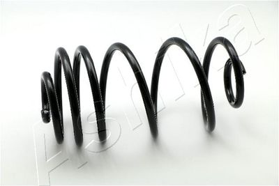 Suspension Spring ASHIKA ZCA6766X