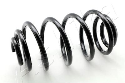 Suspension Spring ASHIKA ZCA6767X