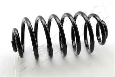 Suspension Spring ASHIKA ZCA6979X