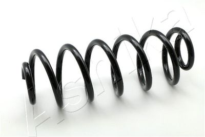 Suspension Spring ASHIKA ZCA7038A