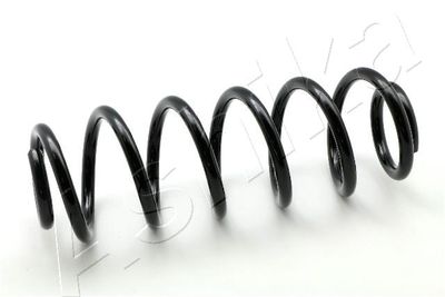 Suspension Spring ASHIKA ZCA7102A