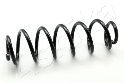 Suspension Spring ASHIKA ZCA7118A