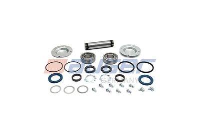 Repair Kit, kingpin AUGER 52617