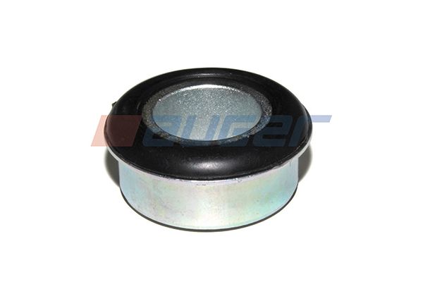 AUGER 55480 Mounting, control/trailing arm