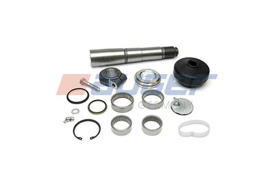 Repair Kit, kingpin AUGER 70630