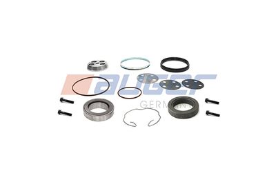 Repair Kit, steering knuckle (leaf spring hanger) AUGER 76655