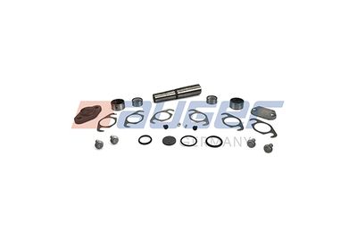 Repair Kit, kingpin AUGER 81919