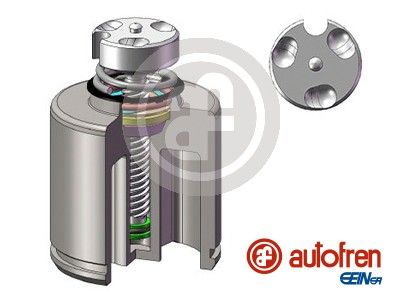 Piston, brake caliper AUTOFREN SEINSA D025627LK