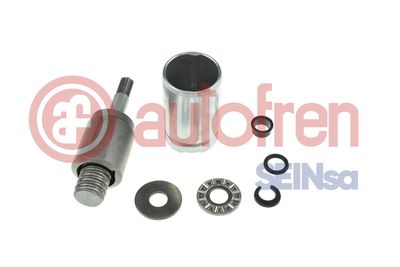 Piston, brake caliper AUTOFREN SEINSA D025740K1