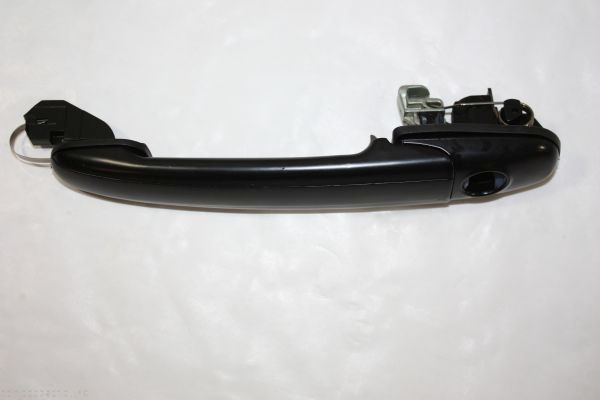 AUTOMEGA 100022010 Exterior Door Handle