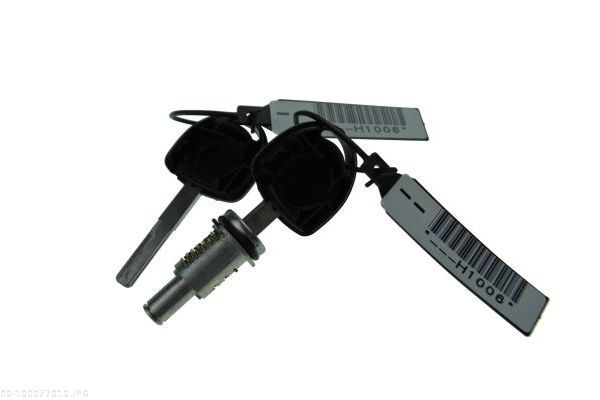 AUTOMEGA 100077910 Lock Cylinder