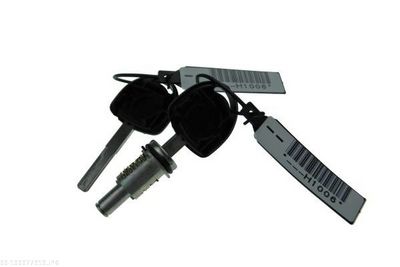 Lock Cylinder AUTOMEGA 100077910