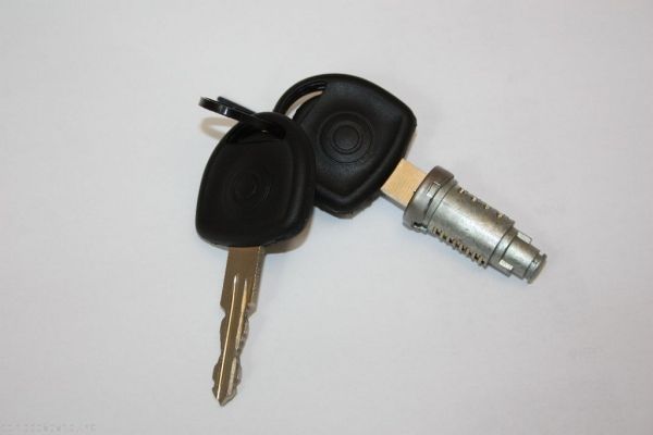 AUTOMEGA 100080810 Lock Cylinder