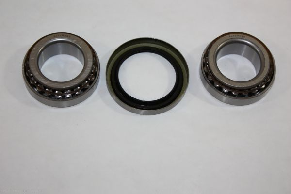 AUTOMEGA 110013810 Wheel Bearing Kit