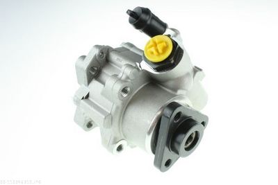 Hydraulic Pump, steering AUTOMEGA 110046310