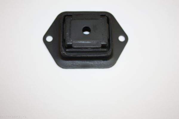 AUTOMEGA 110139910 Bushing, axle beam