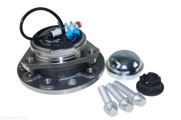 AUTOMEGA 110154310 Wheel Bearing Kit