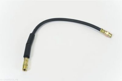 Brake Hose AUTOMEGA 120029010