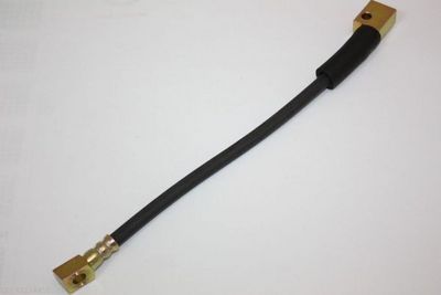 Brake Hose AUTOMEGA 120078810