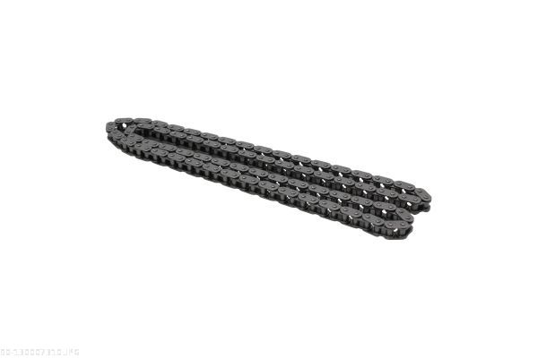 AUTOMEGA 130007310 Timing Chain