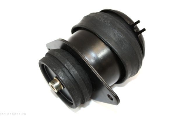 AUTOMEGA 130028010 Mounting, engine
