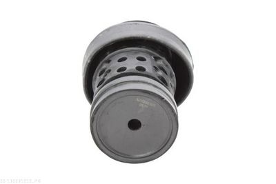 Mounting, engine AUTOMEGA 130031910