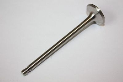Exhaust Valve AUTOMEGA 130097110